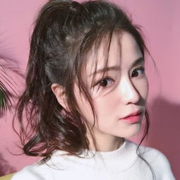 植物大战僵尸电脑版