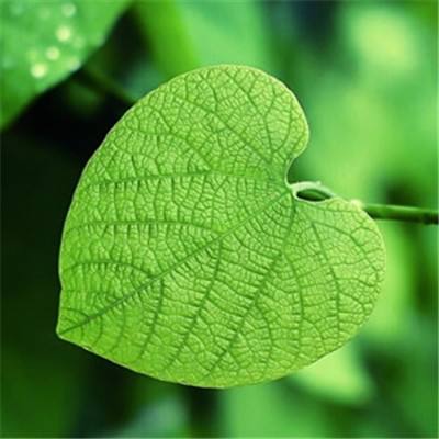 乐高游戏嘉年华2